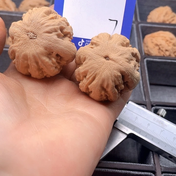 文玩核桃把件会****?文玩7