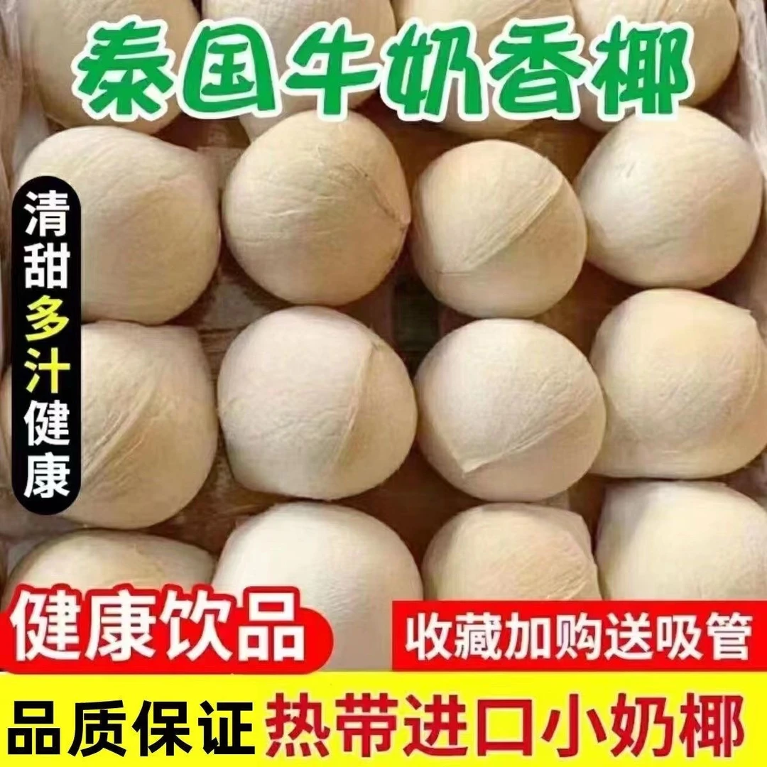 海南发货椰皇新鲜水果奶香椰子当季孕妇水果榨汁老椰子煲鸡汤