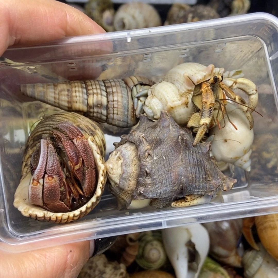 一个组合一个加热