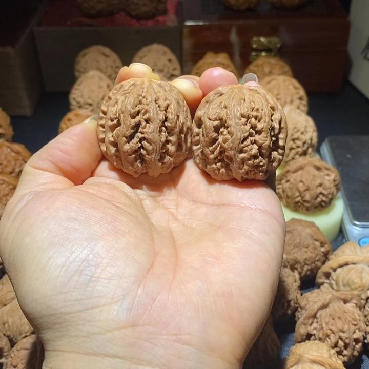 文玩核桃店主了小粗筋36