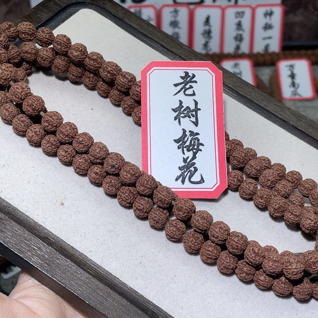 菩提籽类397老树梅花