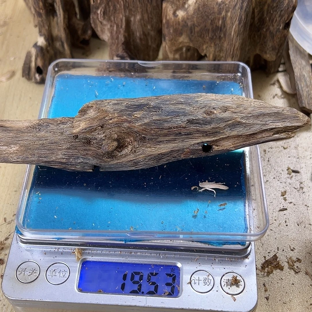 香料绿奇楠虫漏15克蓝宝石