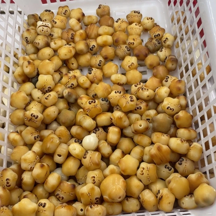 吊坠菩提根/象牙果微瑕菩提星星二十卡15