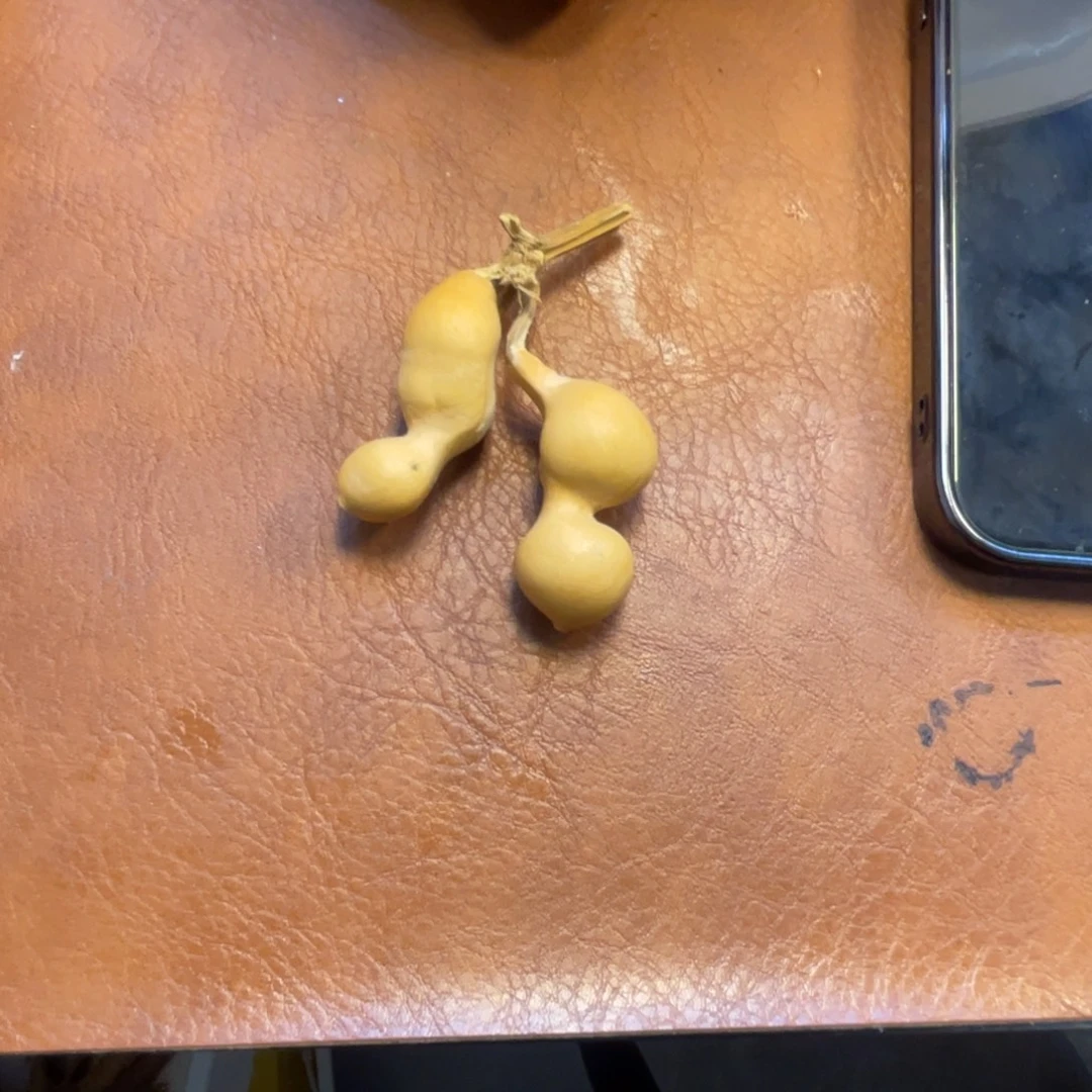 T****不退不换葫芦葫芦