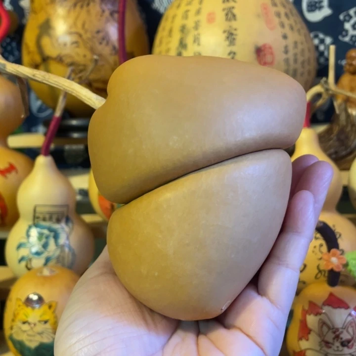 特价福利不退不换