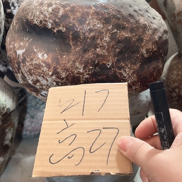 陶瓷景德镇精品花盆栽适合