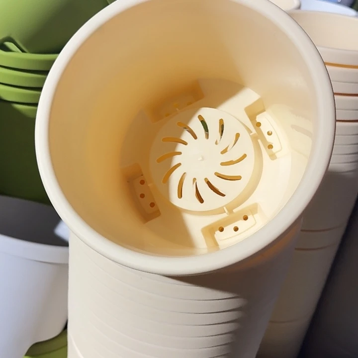 球根26口径6个无托米黄