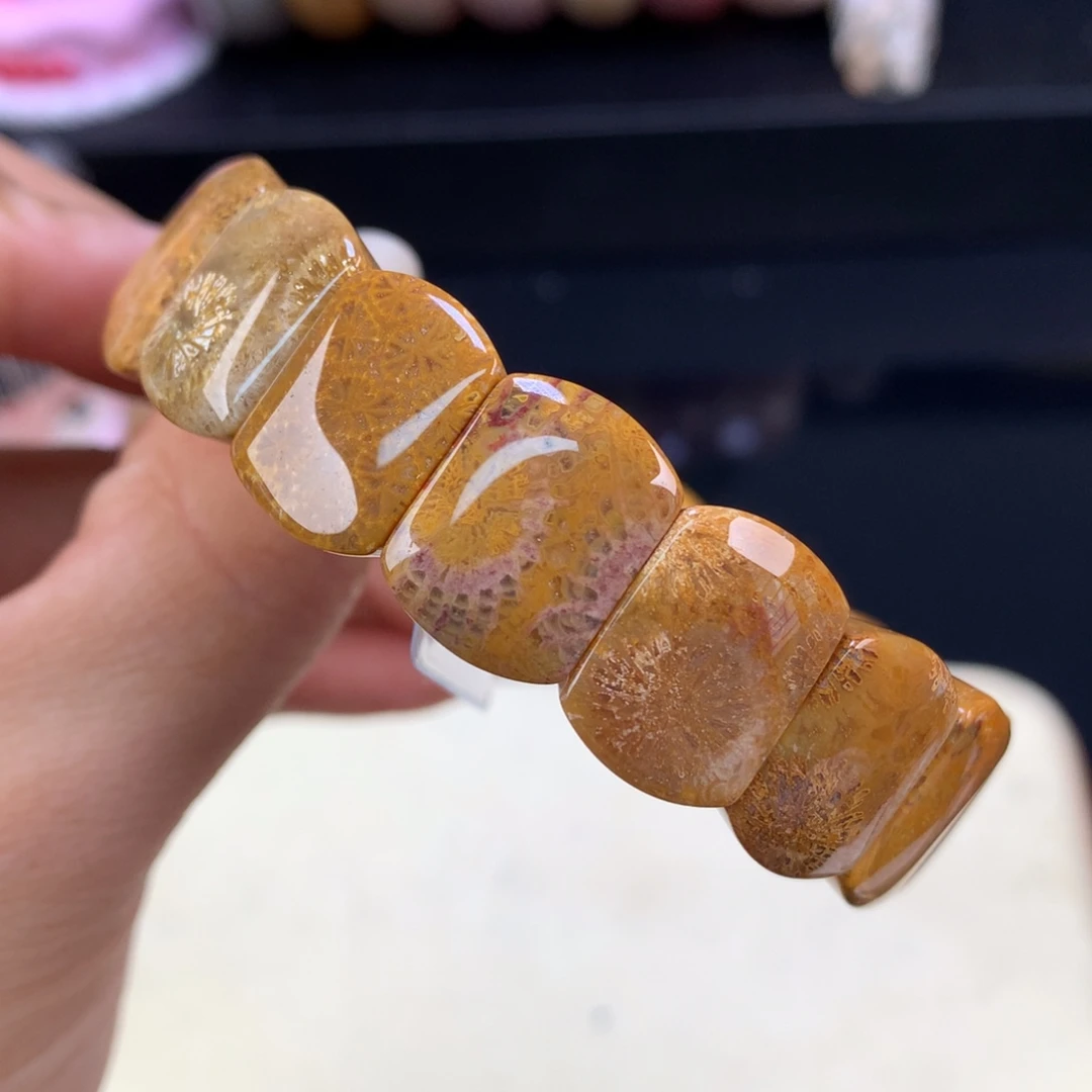 硅化珊瑚（珊瑚玉）未镶嵌颈饰五折手排（63号）