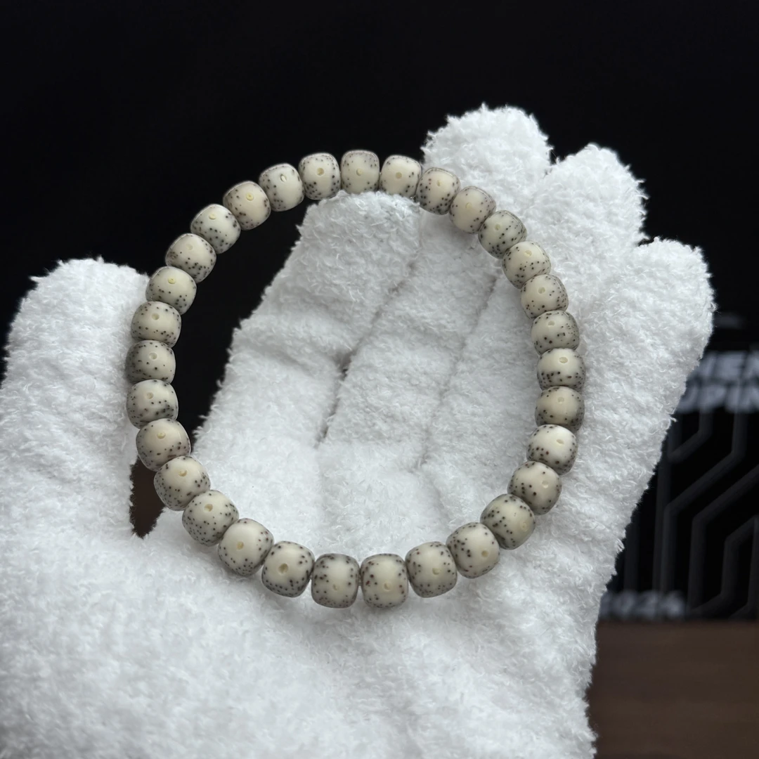 【石玉细星通体-进阶款】海南原生态 星月菩提 同枝果老料