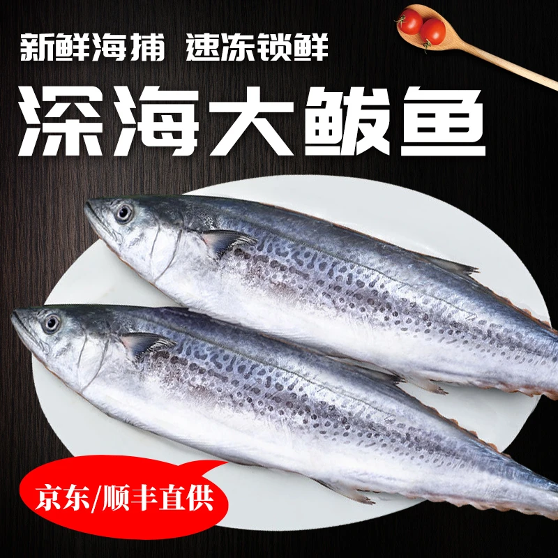 三条大鱼定制燕鲅鱼新鲜冰鲜蓝点马鲛鱼鲜活燕尾鱼特大号燕鱼野生