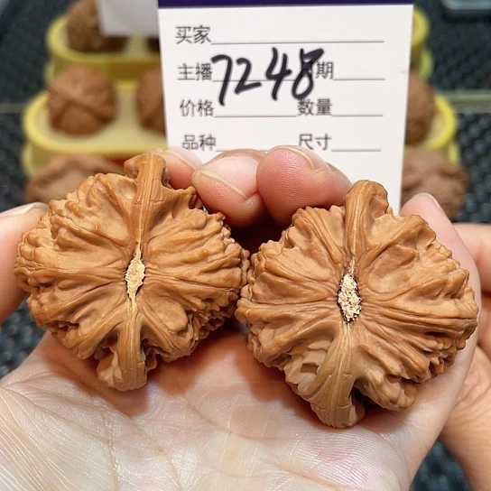 把件文玩核桃44白狮子7248