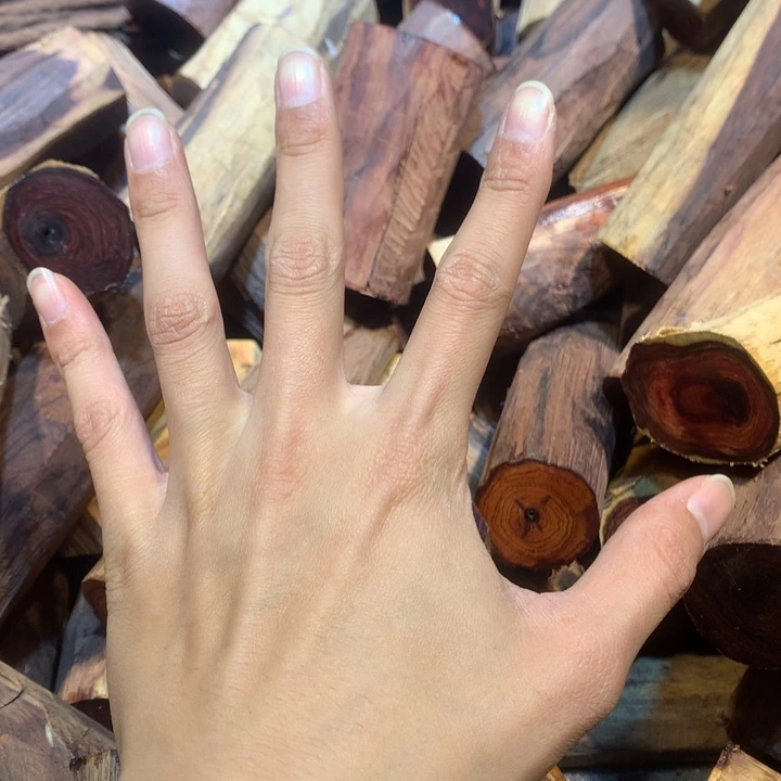 黄花梨/降香黄檀