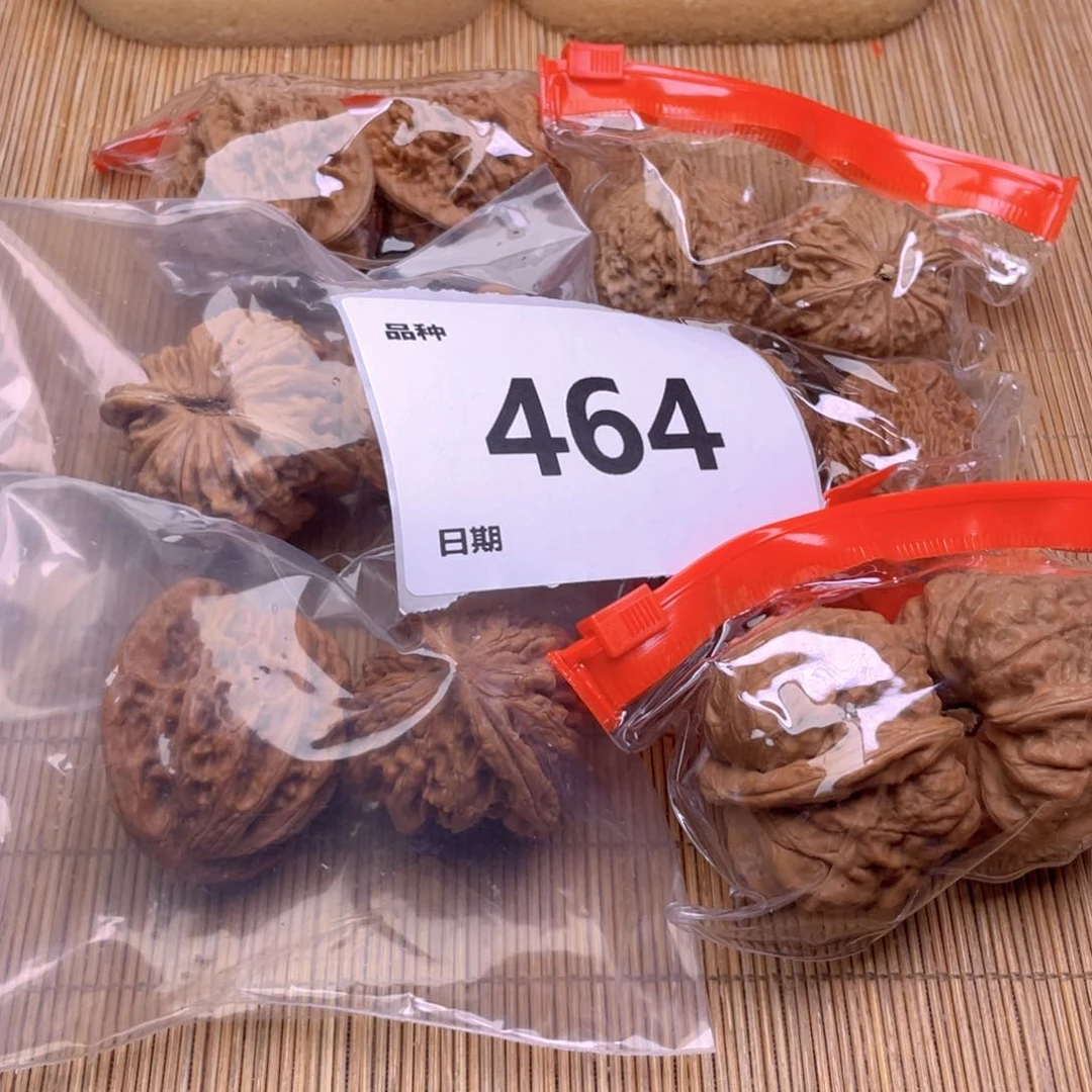 文玩核桃把件464号6对带练手蛙