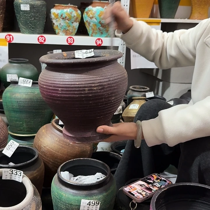 紫色鱼尾549高度19口径19