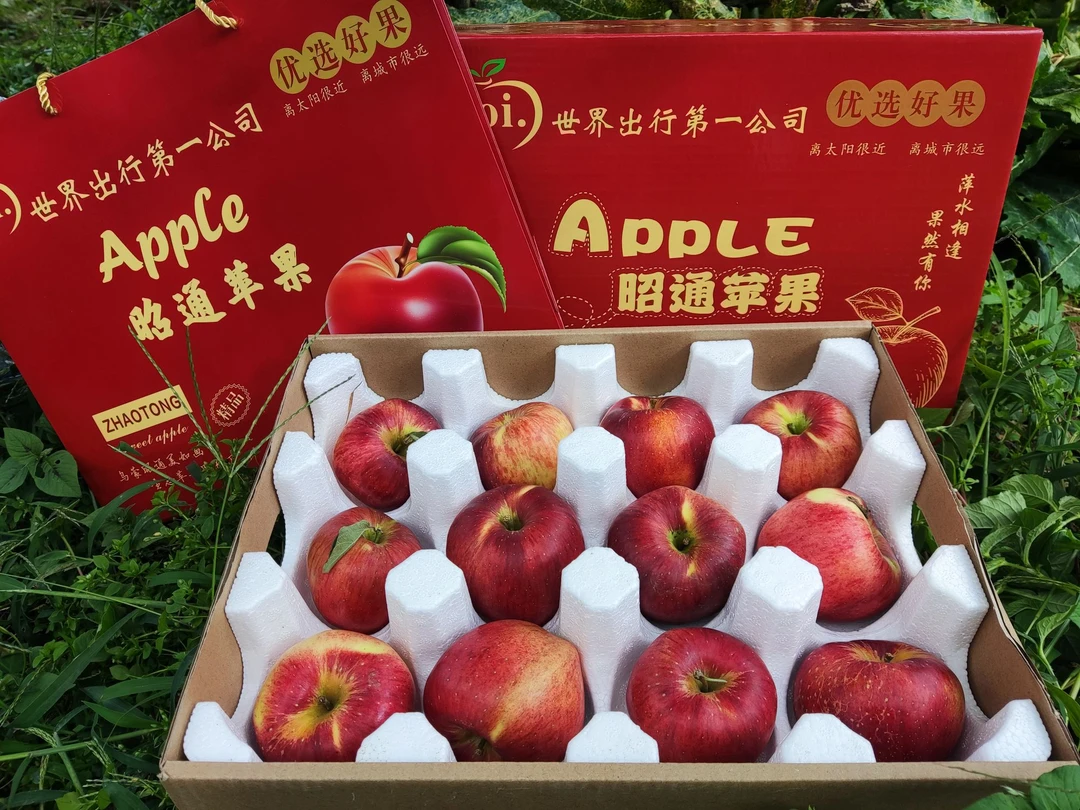 云南高山丑苹果2025年当季红露苹果礼盒送礼节日