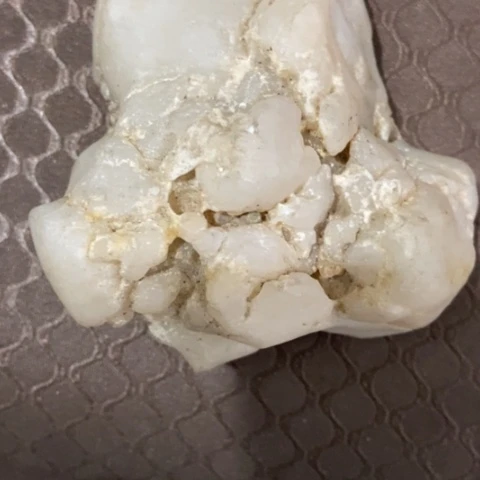 静*z c z c z c z c x z