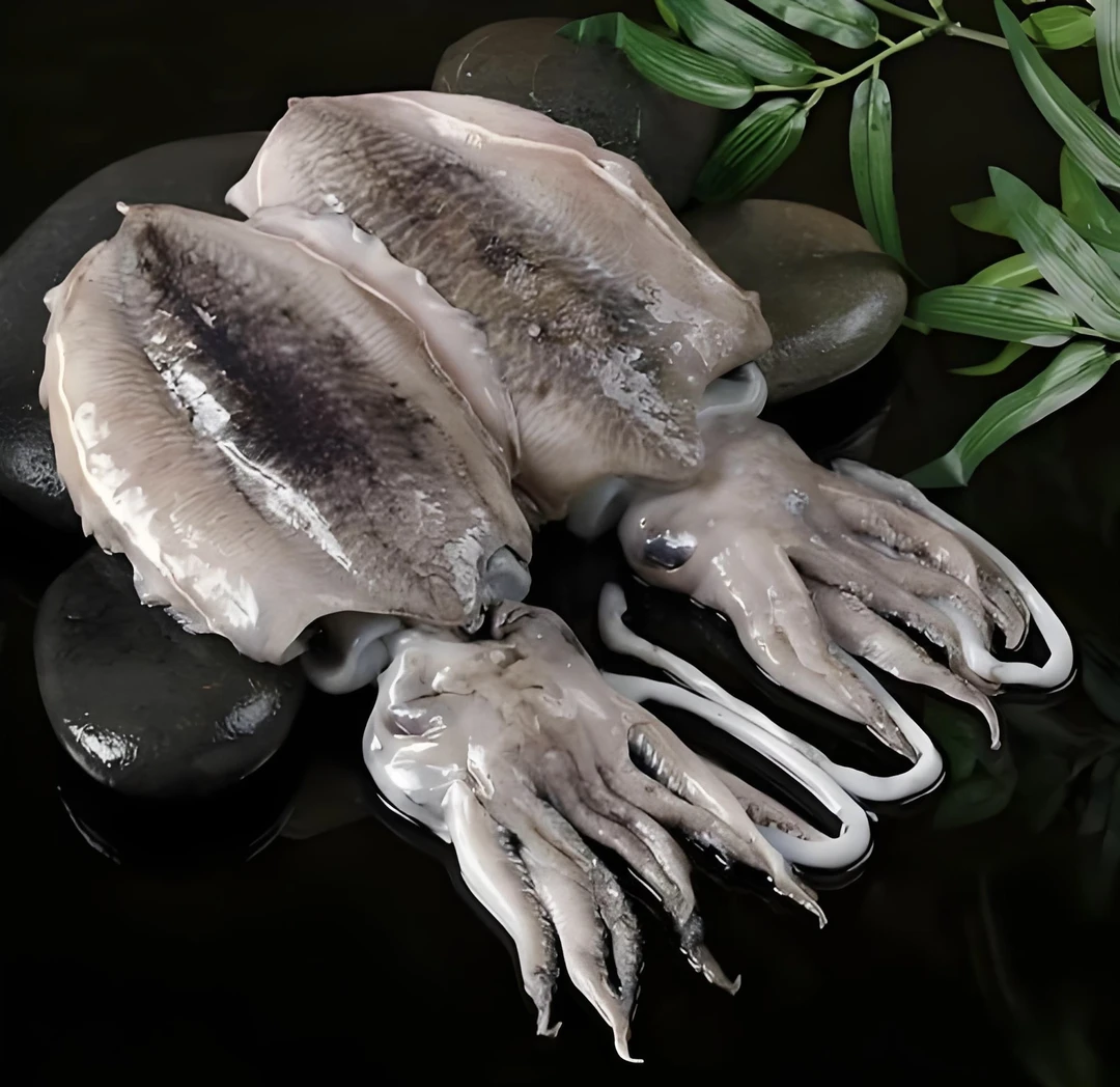 【浅海墨鱼】惠来靖海本港小排船墨鱼墨斗【5盒】速冻锁鲜肉质紧美味