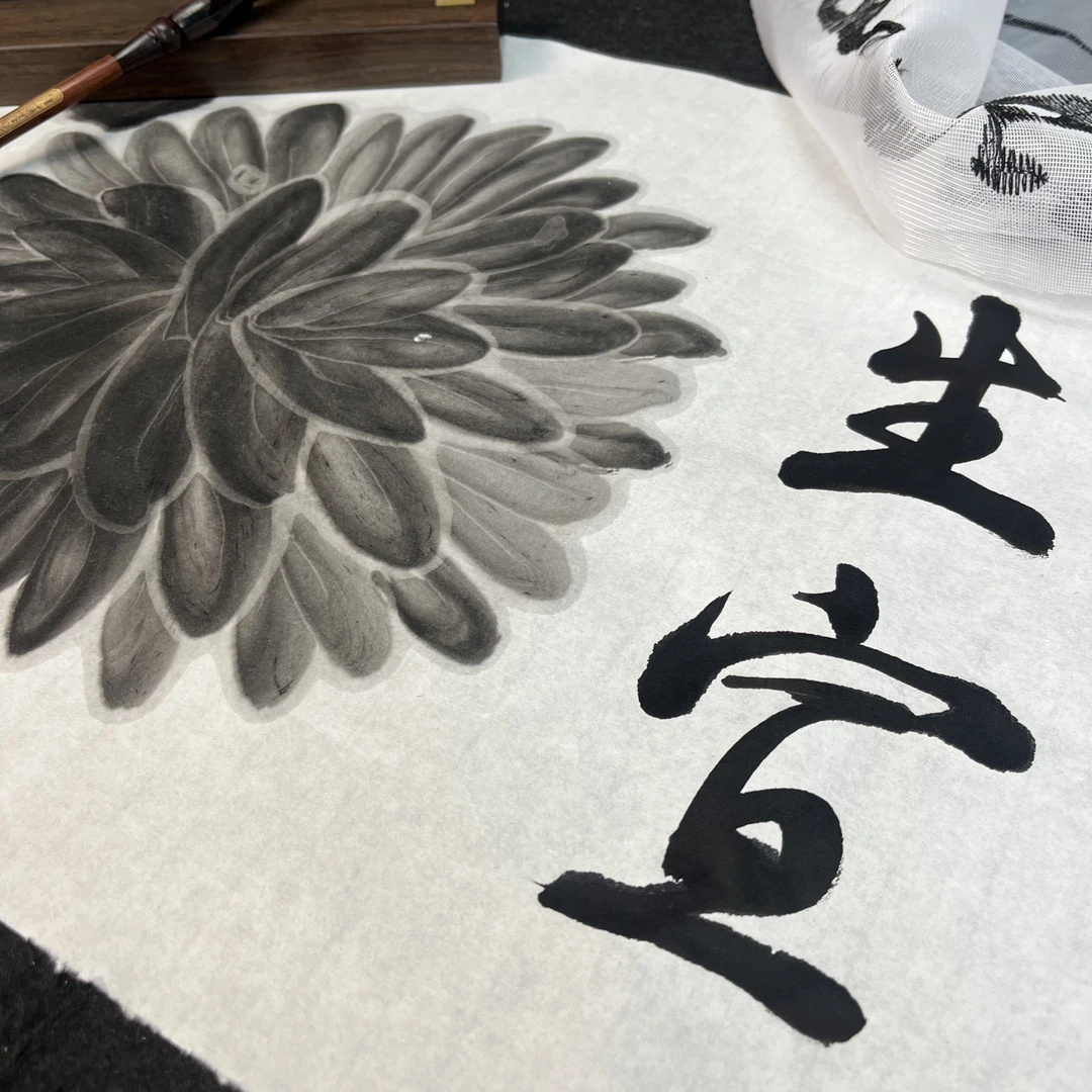 培训班定制四尺练习纸全生半生半熟
