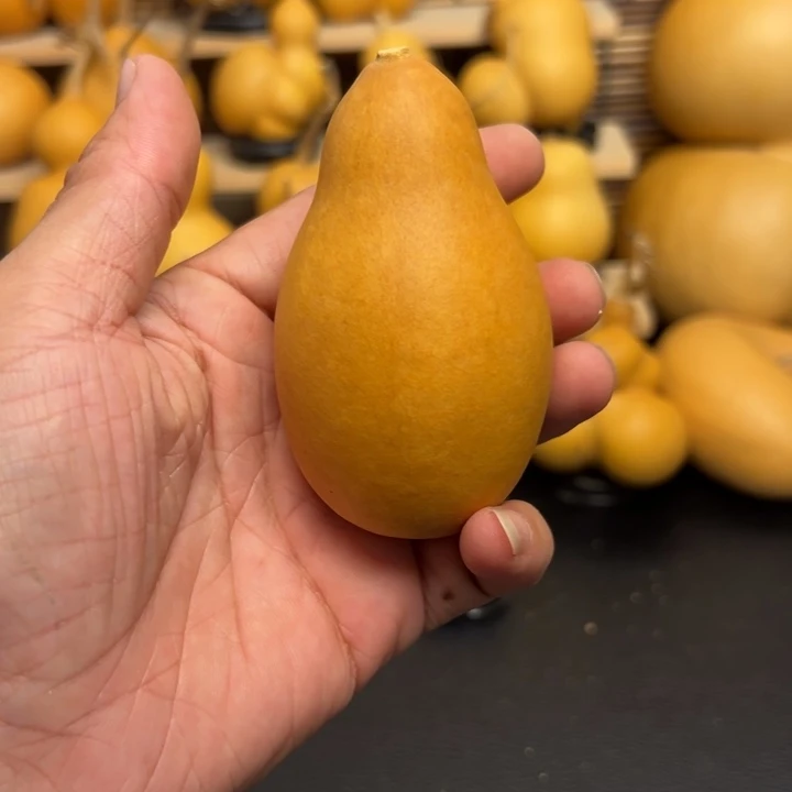 布*噜4555666699899999999