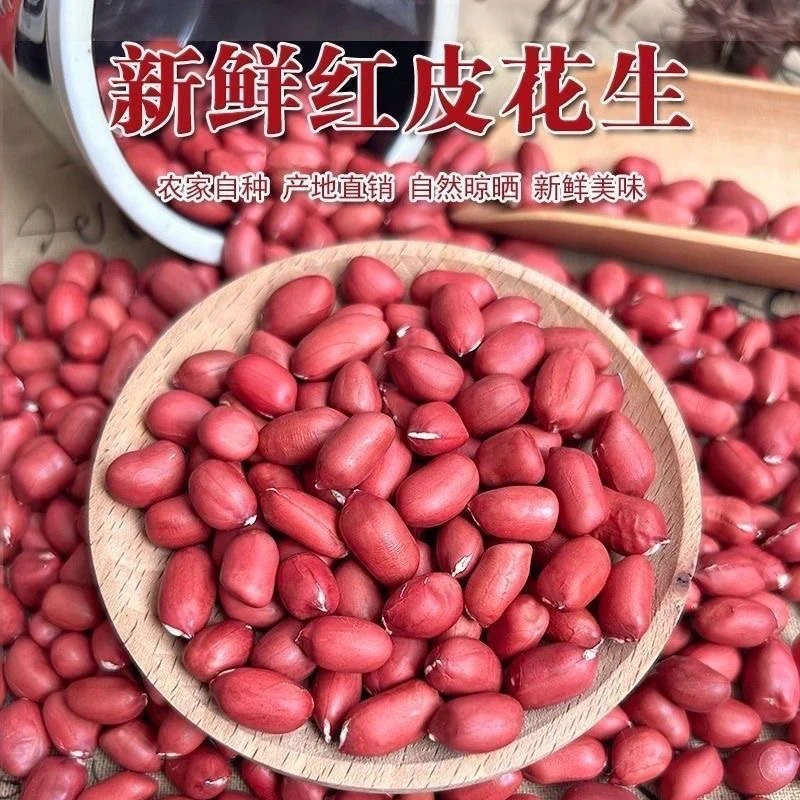 2025新货东北四粒红皮花生新鲜带壳花生米东北特产原味晒干生花生