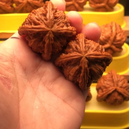 政***业核桃核桃核桃核桃核桃