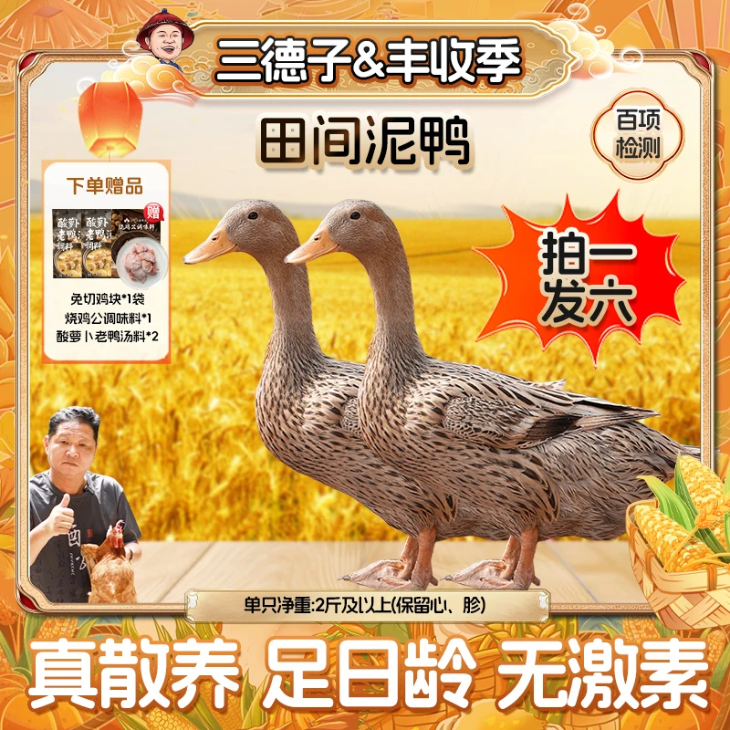 三德子【田间泥鸭2只】田间散养500天麻鸭土鸭 炖汤红烧新鲜美味