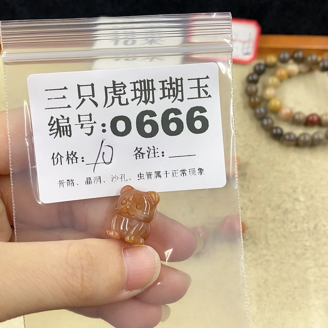 硅化珊瑚（珊瑚玉）1未镶嵌大****者