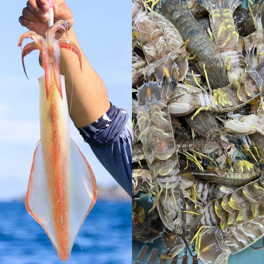 (渔速达优选)1号现场代购链接,拍下No退No换,看好再下单!