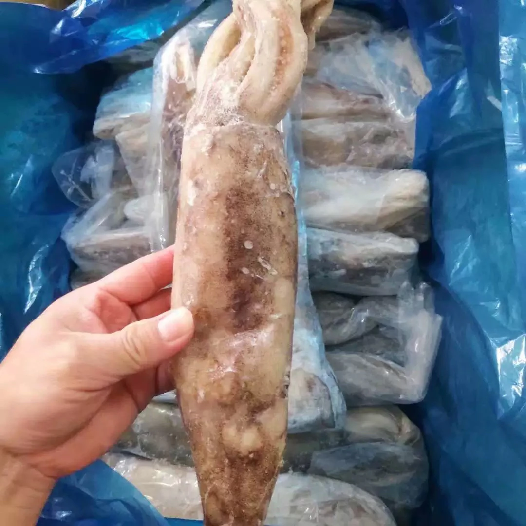 鱿鱼新鲜肉质鲜嫩1-3个左右/斤