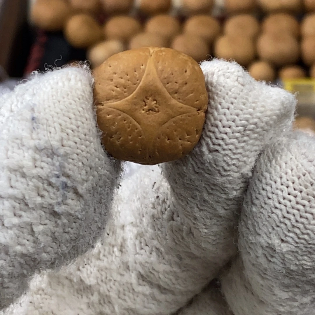 凤眼菩提吊坠尼泊尔麒麟眼单颗