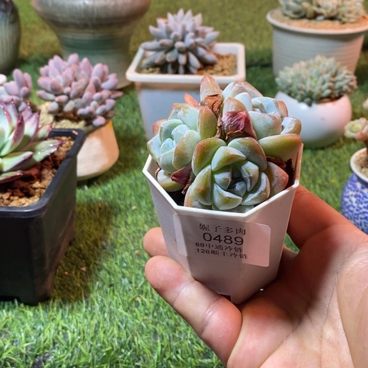 0489啊啊啊啊啊啊啊啊啊啊