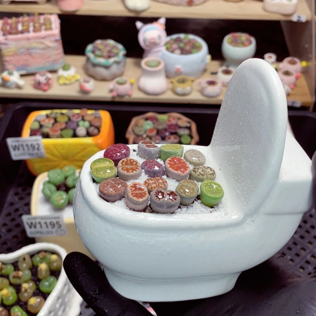 夜间零下地区拍保温箱w1198