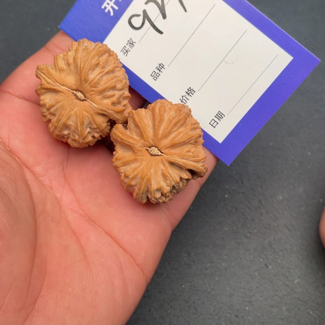 核桃把件39全品白狮子，923号