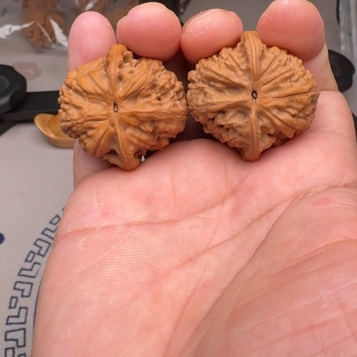 桃核把件山地野狼36+尺4