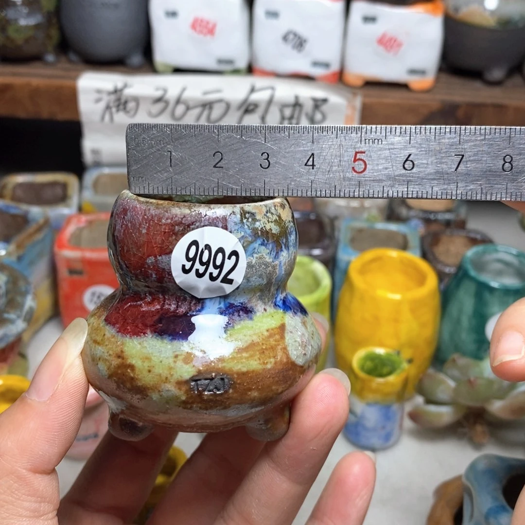 拍5送一个小礼物