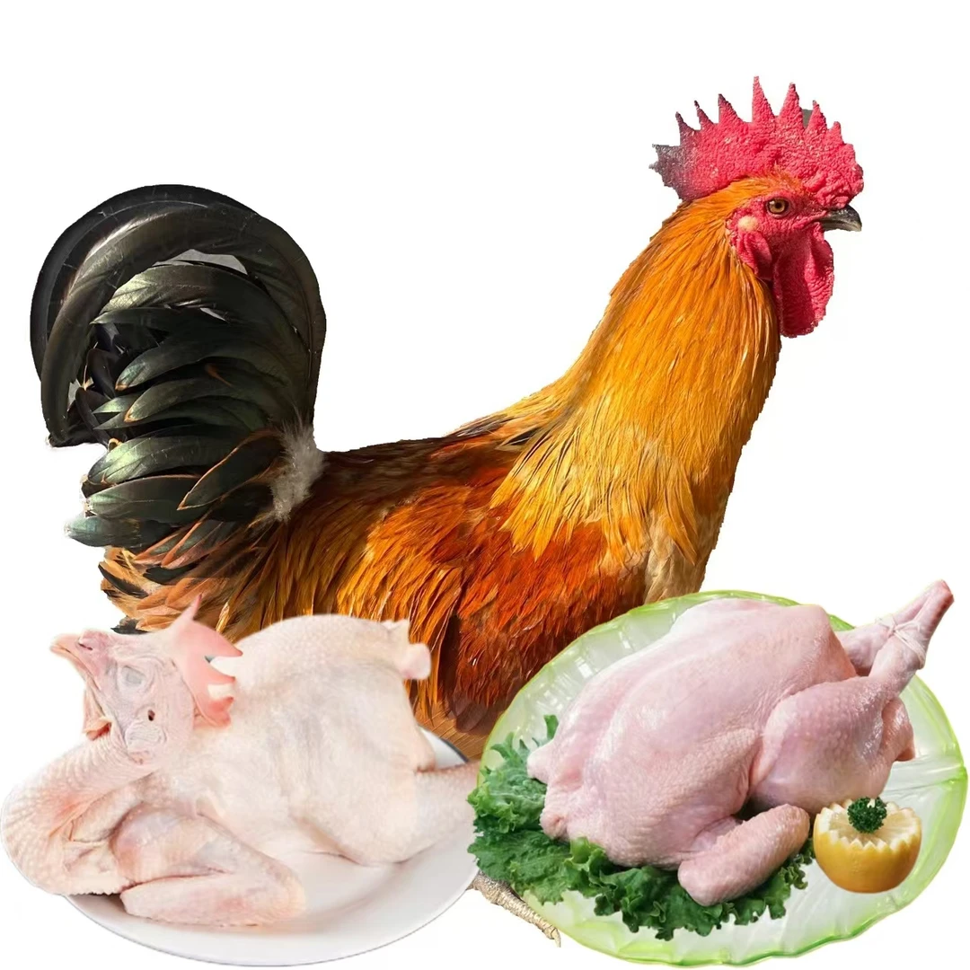 直播间一物一拍 云南老品种土鸡肉质鲜美