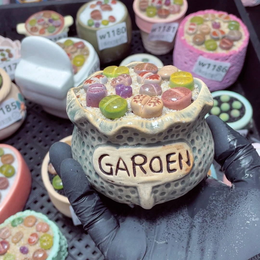 w1194-，带盆土发货，零下地区拍保温箱