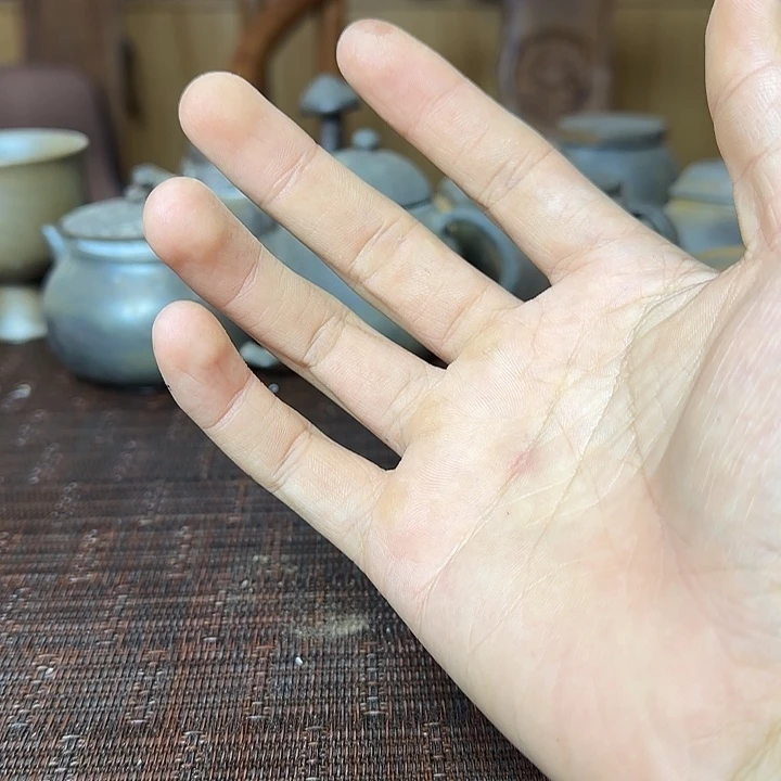 马***然紫砂茶壶坭兴陶柴烧