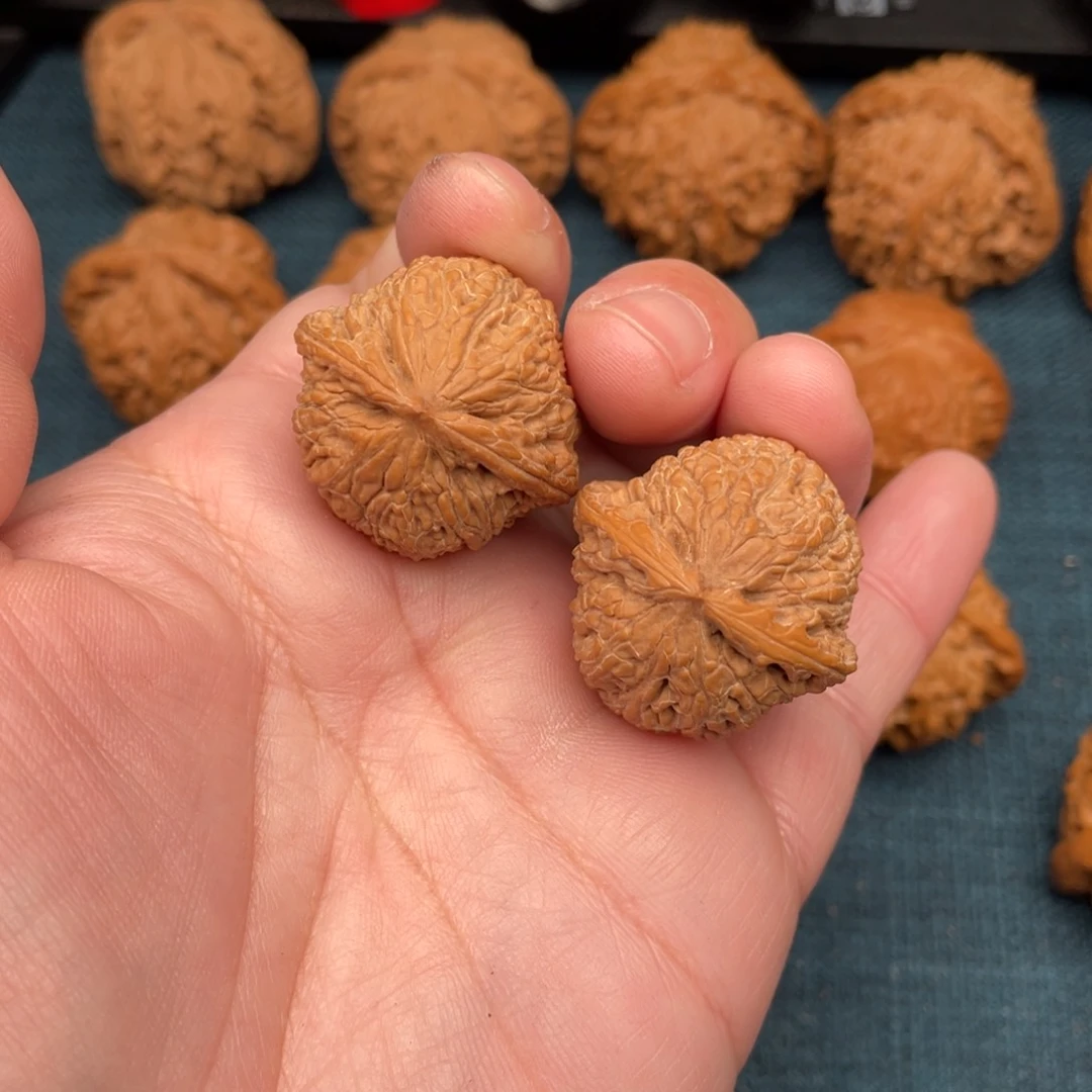 文玩核桃把件野生密纹31