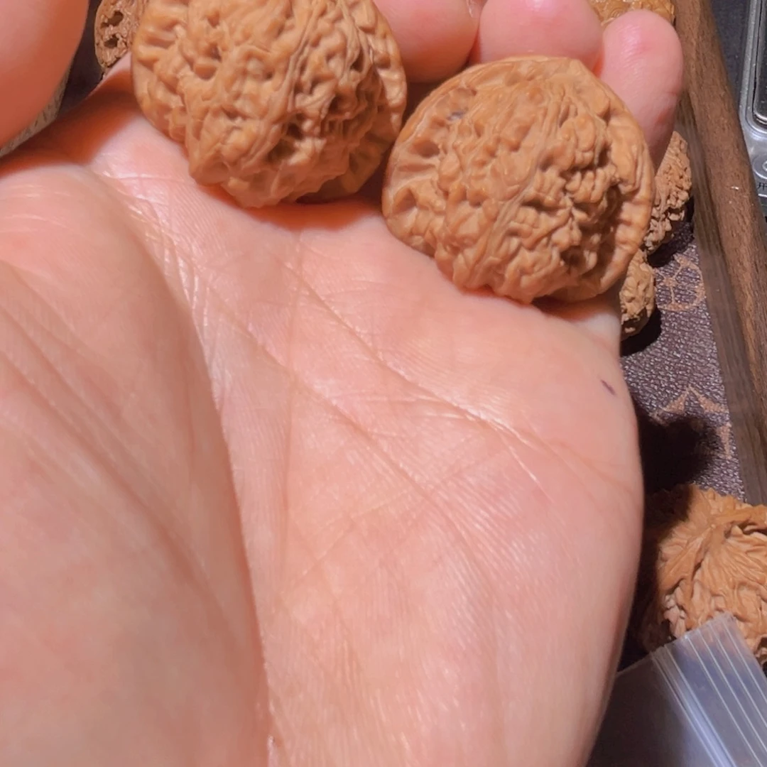 瑞麟文玩核桃白狮子 33.33.29