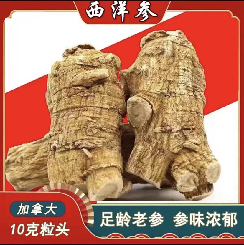 【加拿大西洋参】10克西洋参粒头精选软枝新货参味浓郁可切片磨粉