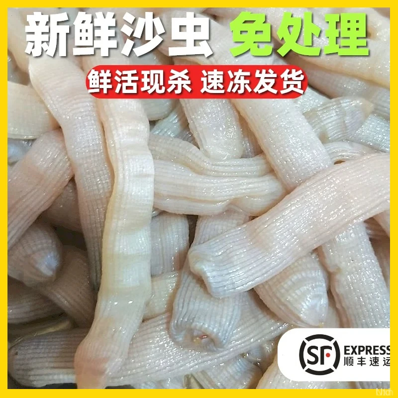 现杀沙虫翻捅沙蚕光祼星虫方格星虫帮去内脏沙新鲜活杀顺丰