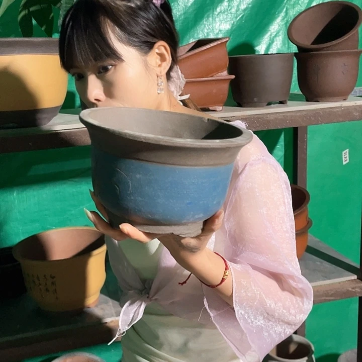 花盆花盆花盆花盆