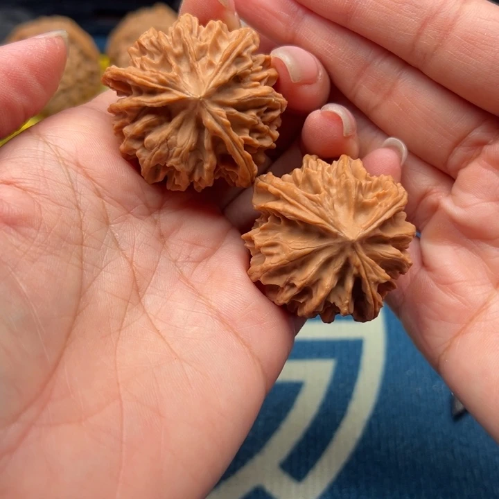 核桃文玩核桃三棱