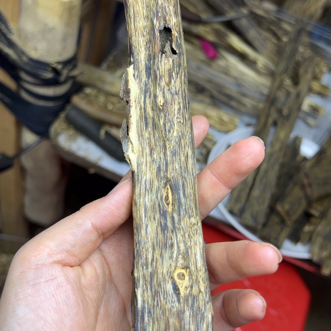 线香奇楠虫漏香摆件