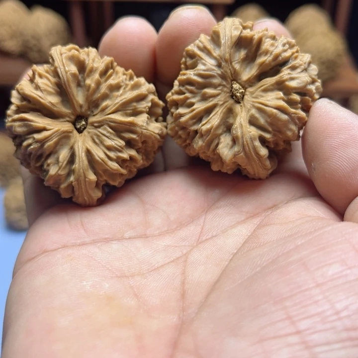 完全开放云**布南疆石