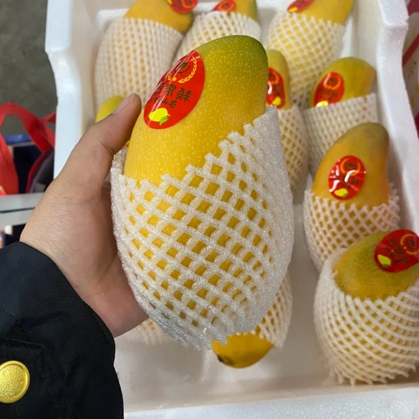 【百大合家康】精品#水仙芒3斤装 新鲜水果香甜多汁