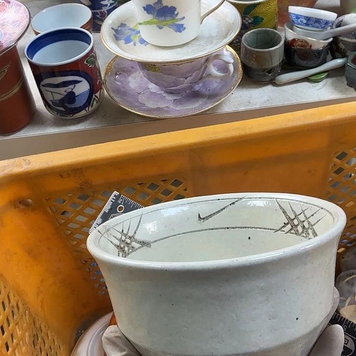 杯开播啦…开播啦