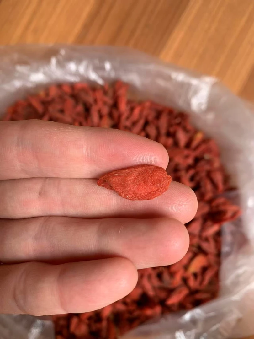 云南高山  枸//杞  非香菇