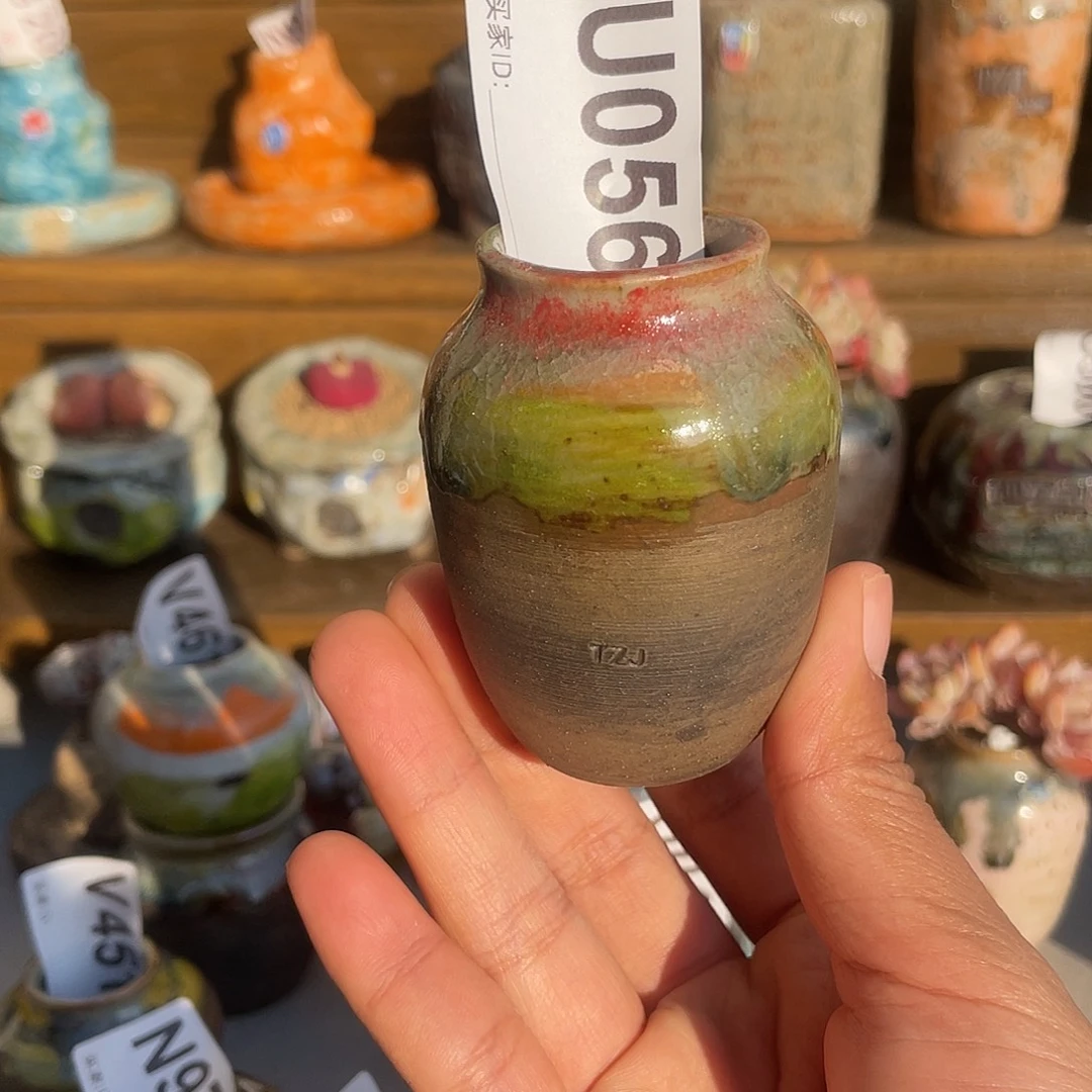 坛子姐花盆 拇指盆内口2.8